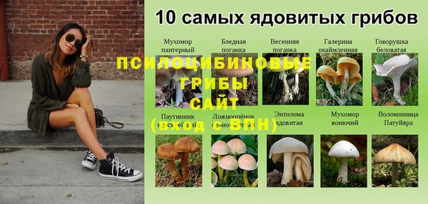 хмурый Михайловка