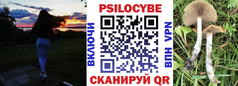 Псилоцибиновые грибы Magic Shrooms  hydra   Гвардейск 